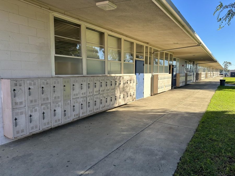 Time to Get Organized: The Benefits of Introducing Lockers