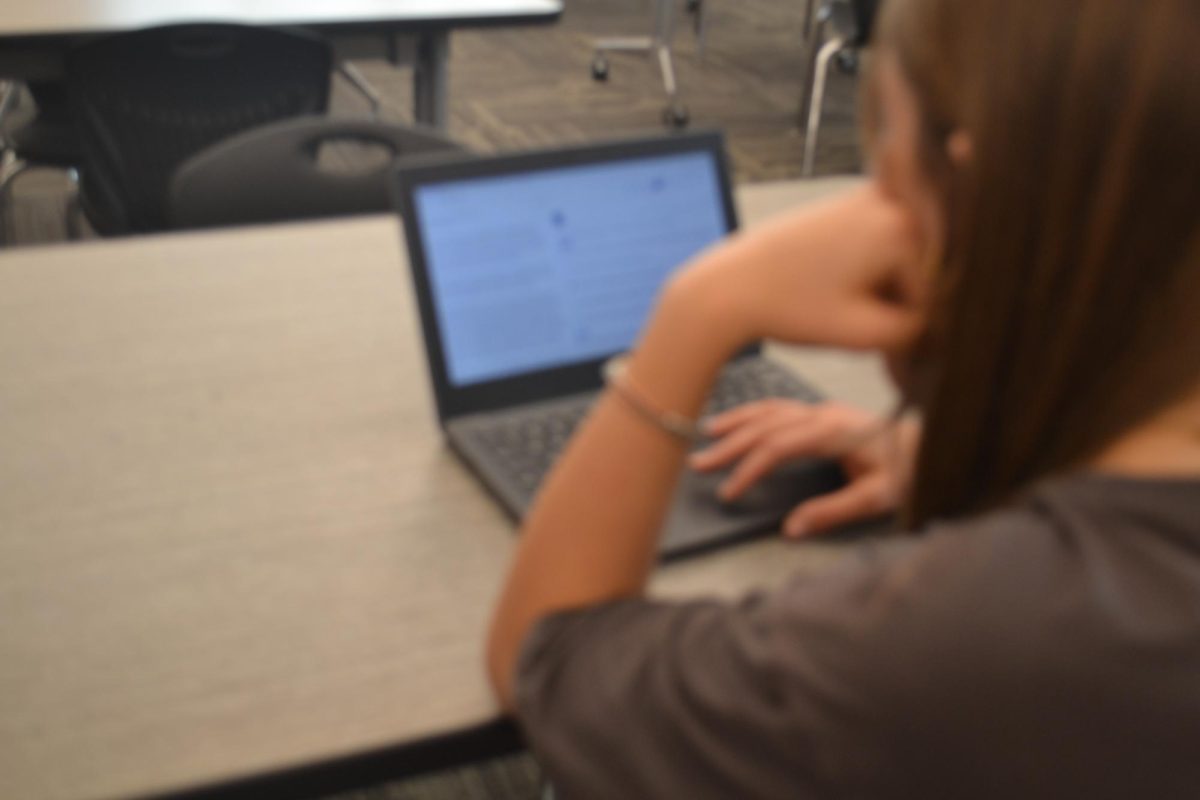 The CAASPP and Its Impact on California Students: How Much Does It Really Matter?