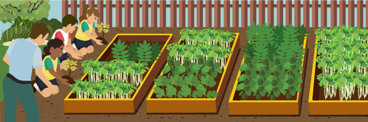 A Blooming Future: Transforming Our School with a Vibrant Garden