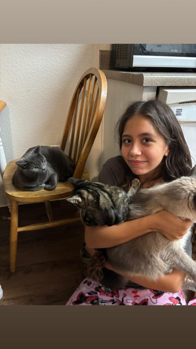 Panther Pets