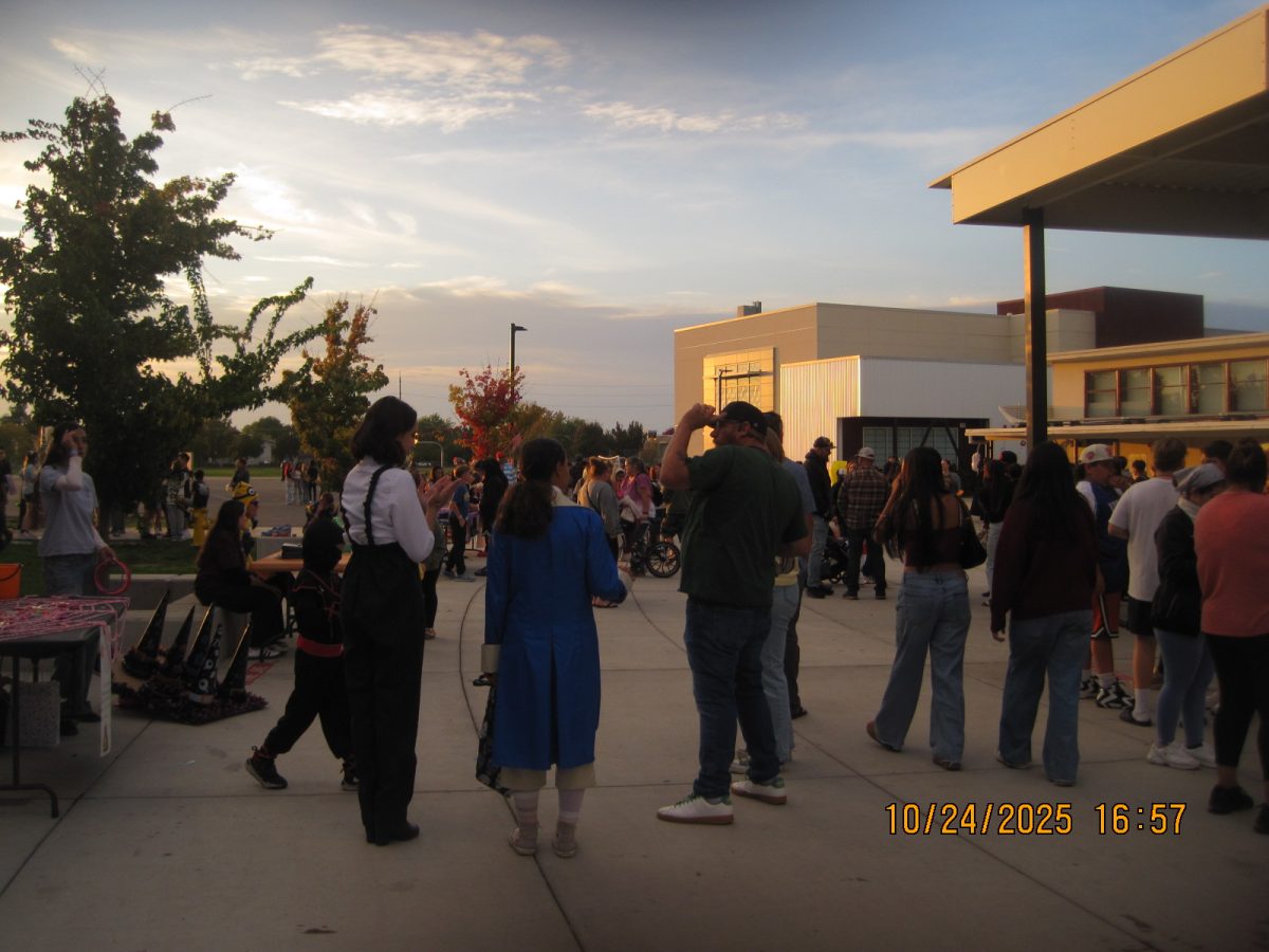 The Harvest Fair