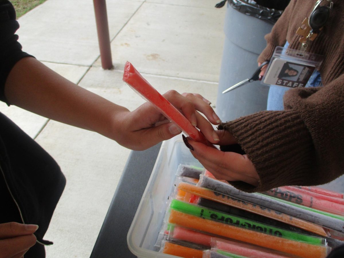 Earn Your Ticket for Perfect Attendance!