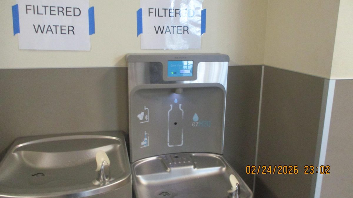 Water Fountains at School: Why Filtered Water Should Be Available Everywhere