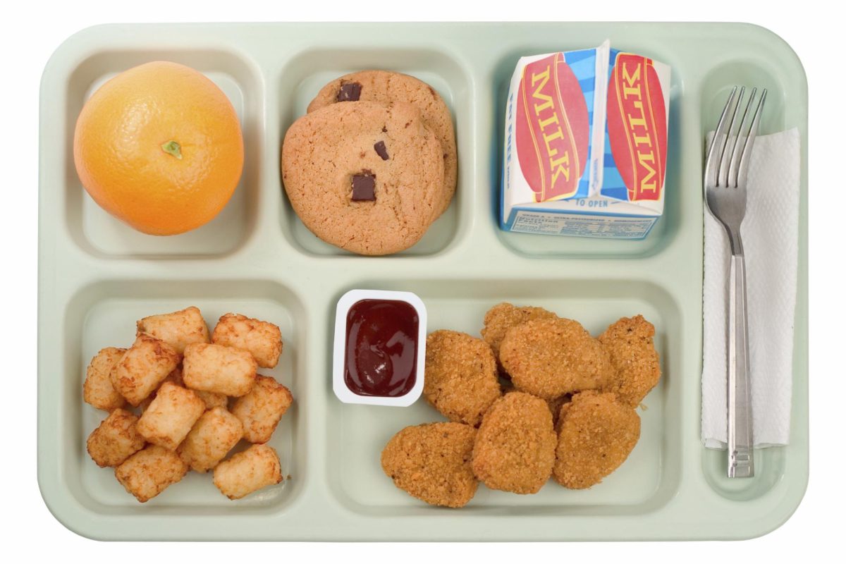 Satisfy Your Hunger: Wholesome School Lunch Combos