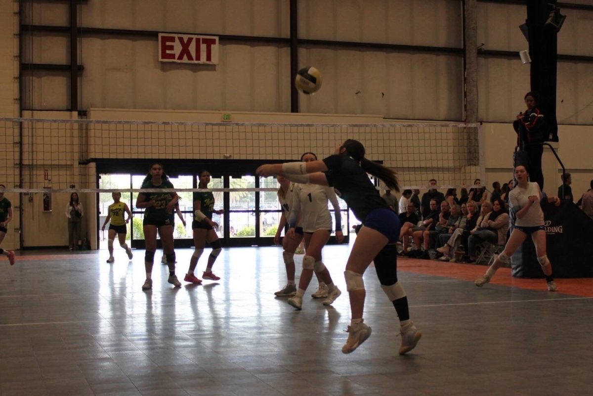Athlete spotlight: Piera Ellis