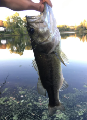 Grayson Jones and his Fishing